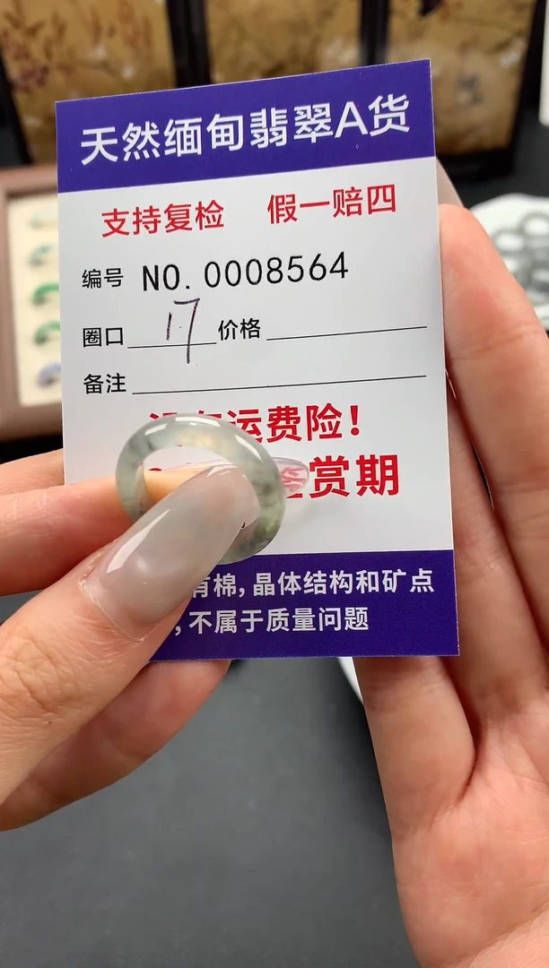 颈饰未镶嵌翡翠圈口17