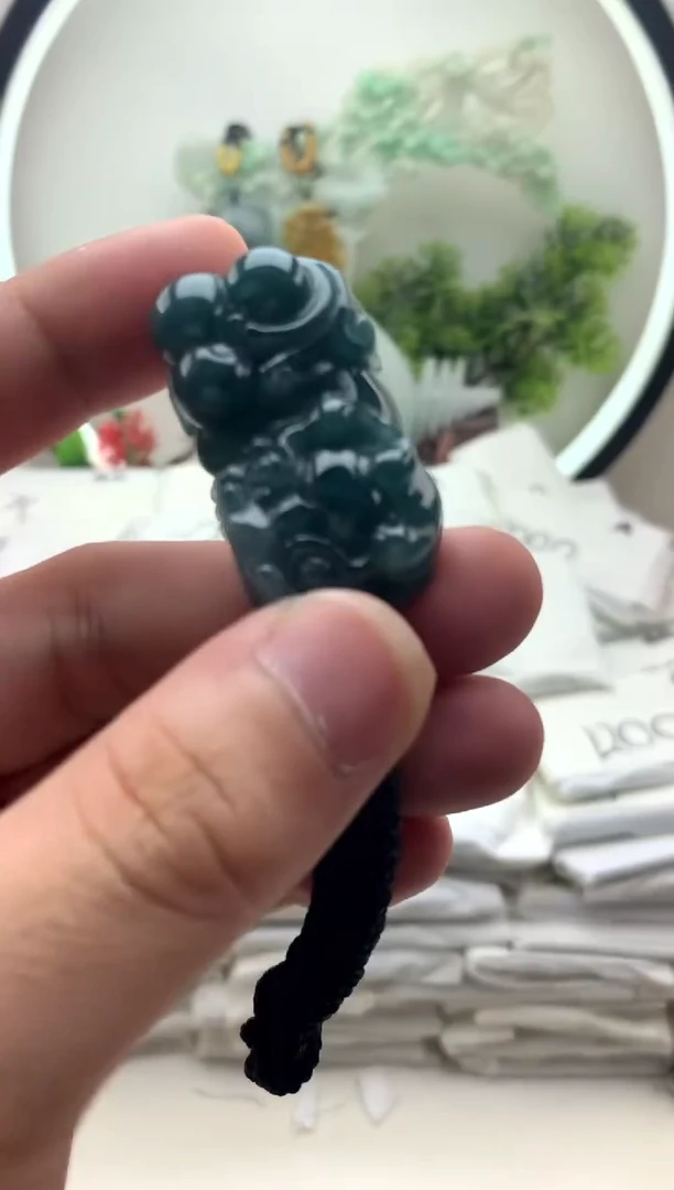 颈饰未镶嵌翡翠貔貅y