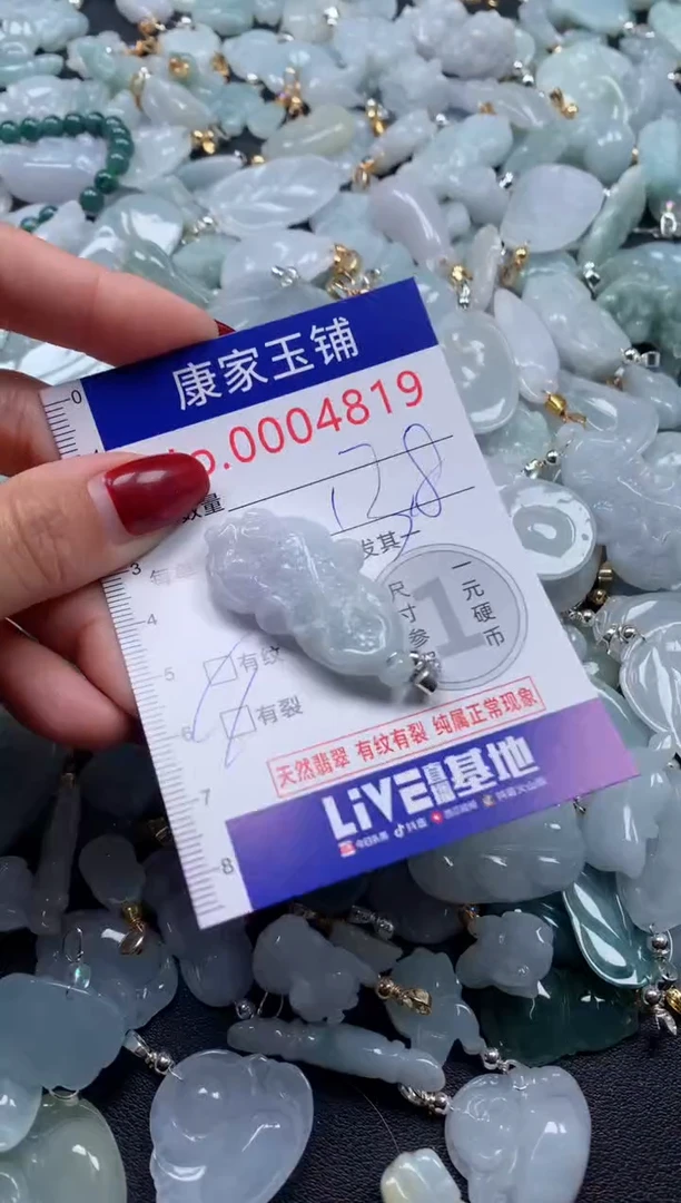 颈饰未镶嵌翡翠4819