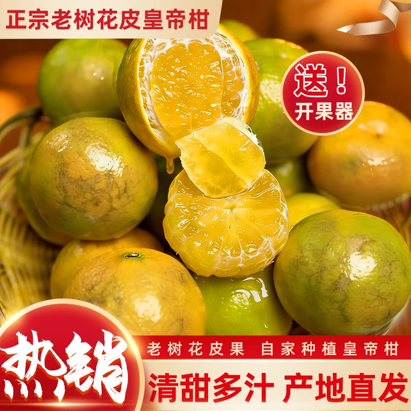 正宗广西皇帝柑贡柑老树轻微花皮果新鲜采摘薄皮多汁当季水果橘子