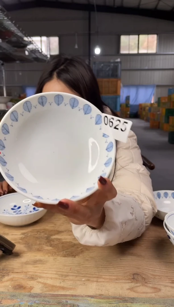 【闪购商品】瓷片0625号      微瑕17*5.5