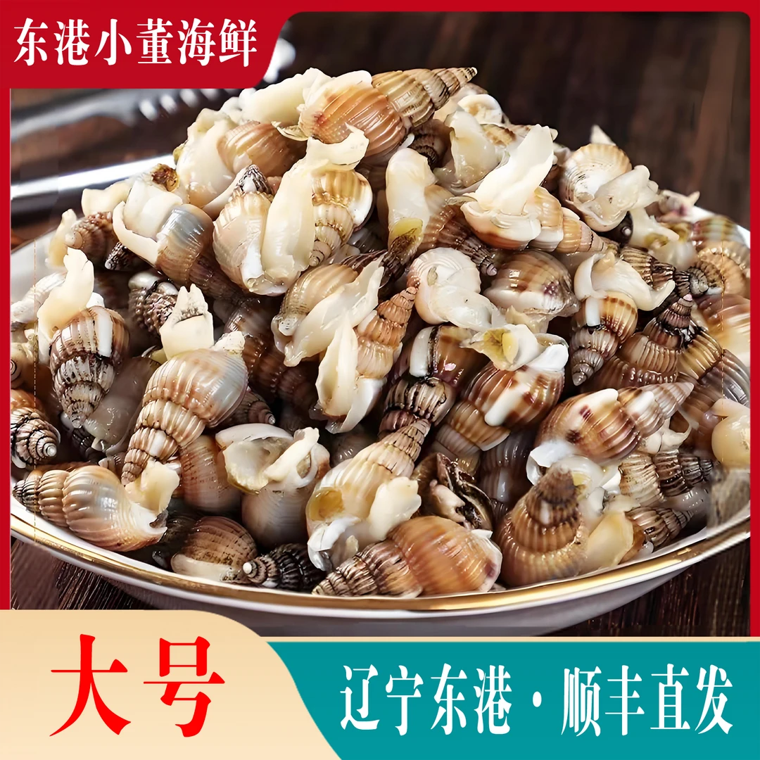 【大号】东港鲜活海锥海螺丝海瓜子340粒左右/斤顺丰保活㊟嫌小拍大