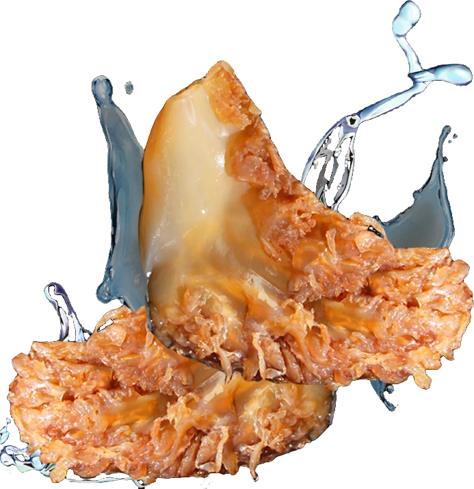 25年海蜇角硬脆爽鲜脆爽口海蜇头凉拌菜盐渍非即食海蜇头