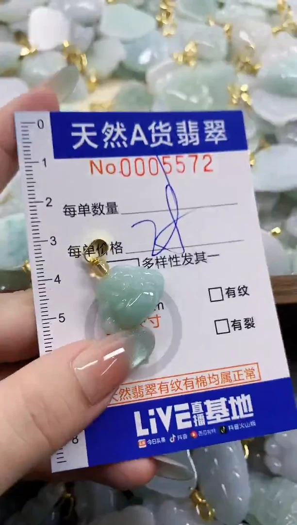 颈饰未镶嵌翡翠天然A货翡翠