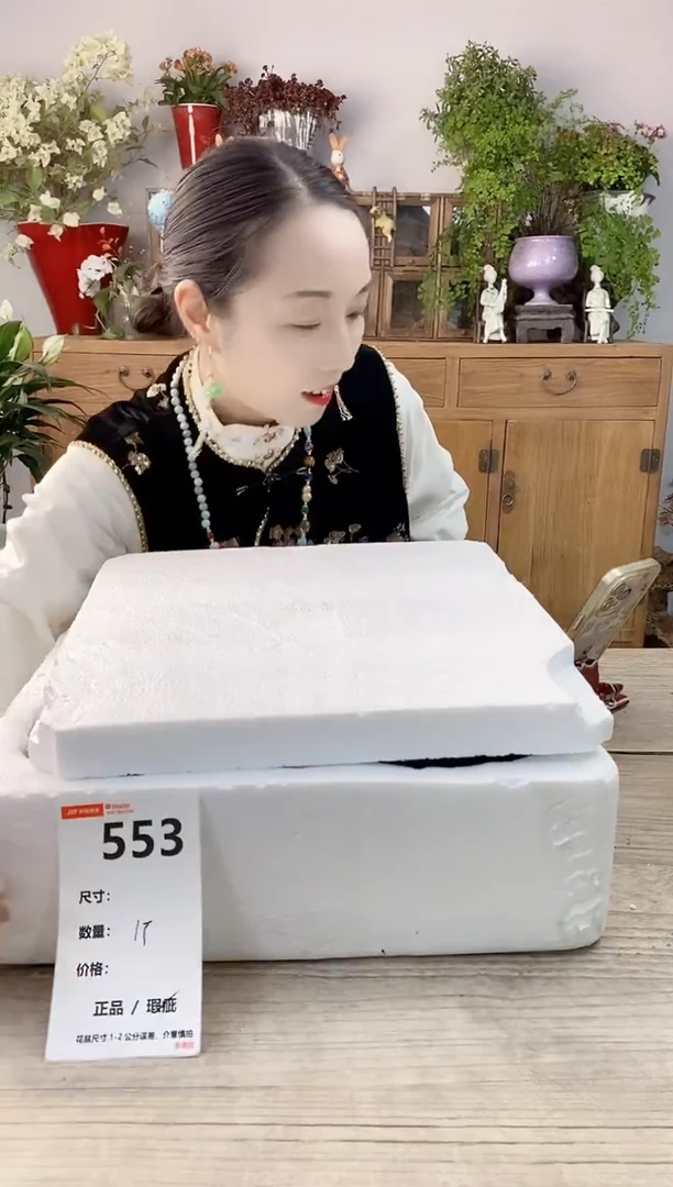 小玩子花盆直播号553