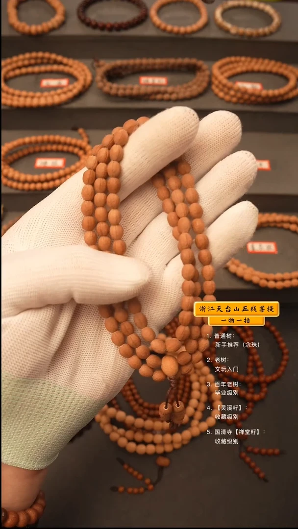 吊坠五线菩提**y脖挂