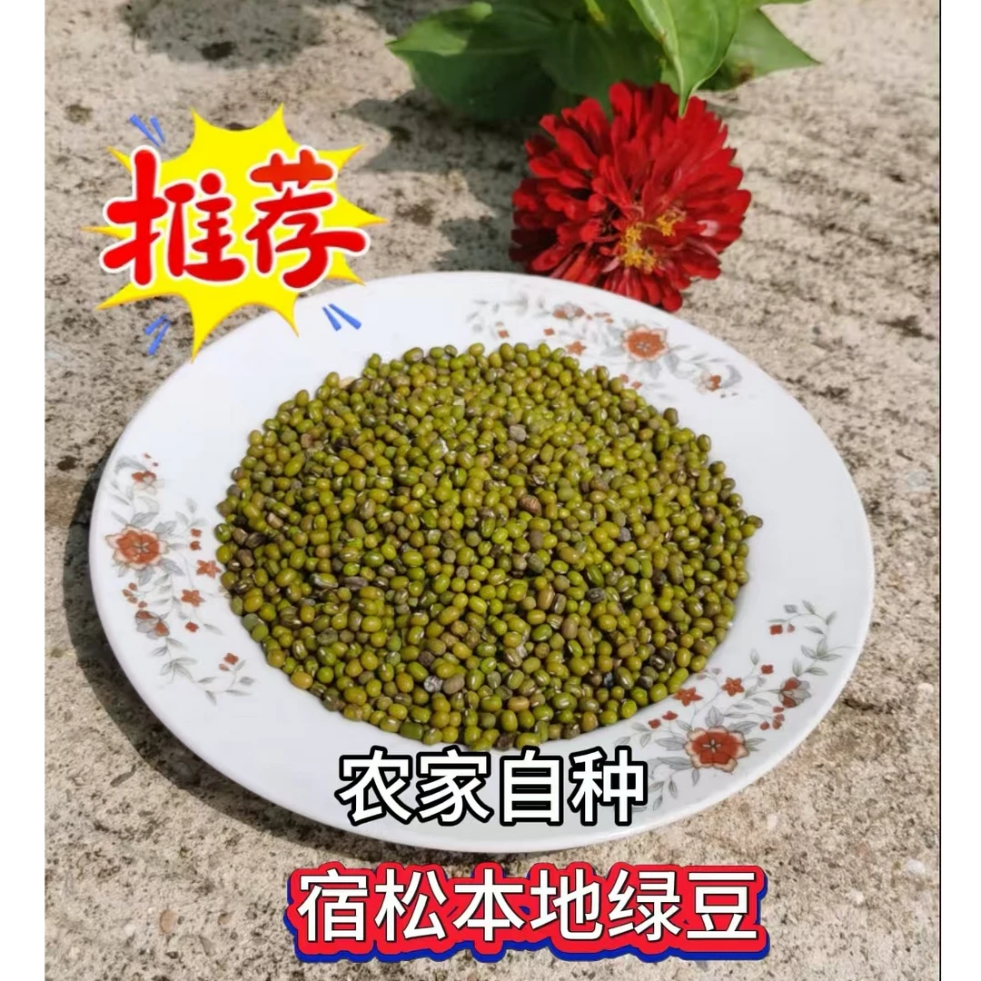 安徽宿松支农助农乡下绿豆新货五谷杂粮绿豆粥绿豆沙新鲜绿豆