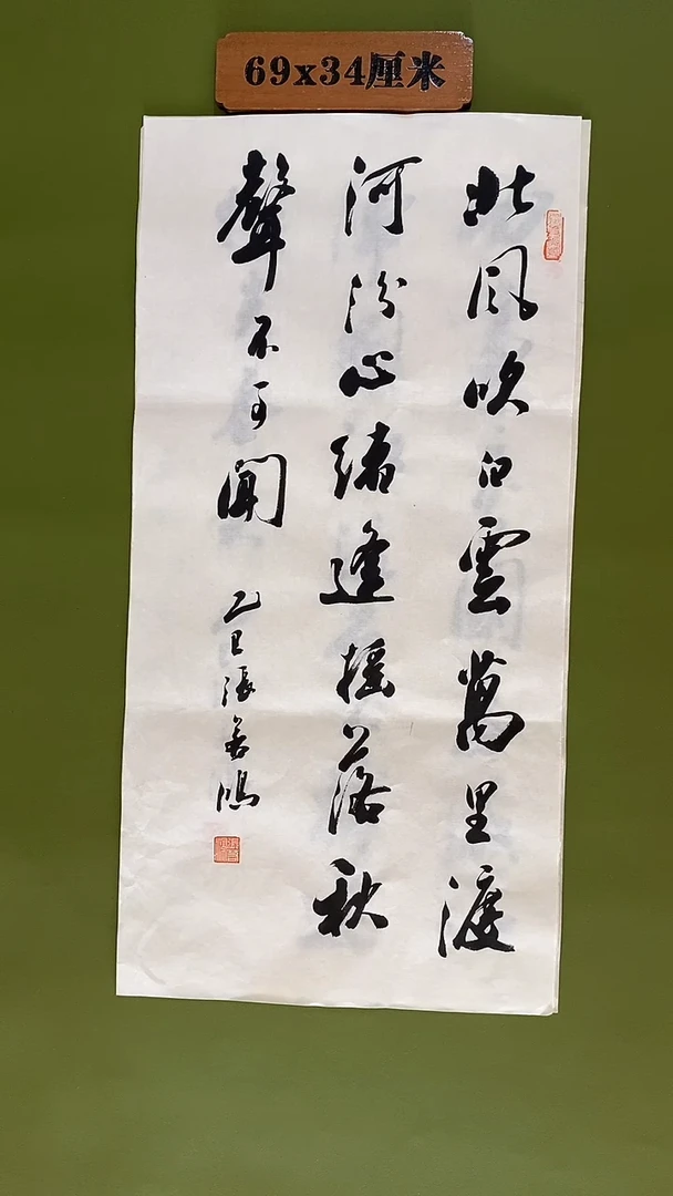 书法书法 张若鸿 尺寸69cm*34cm