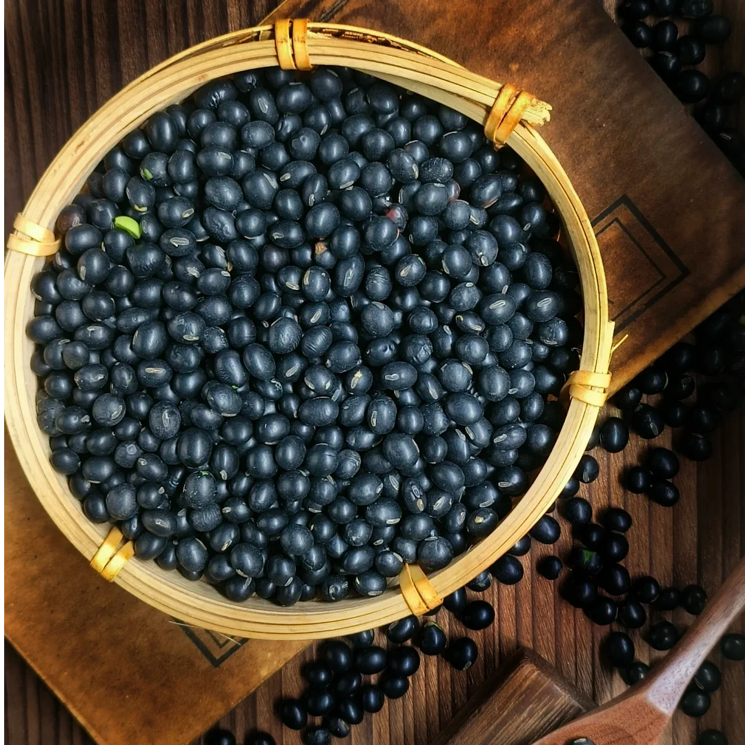 恩施高山黑豆生黑豆农家自产