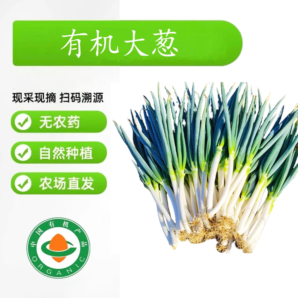 【有机大葱】顺丰包邮原生态纯天然有机大葱3斤5斤装可生吃2025新鲜