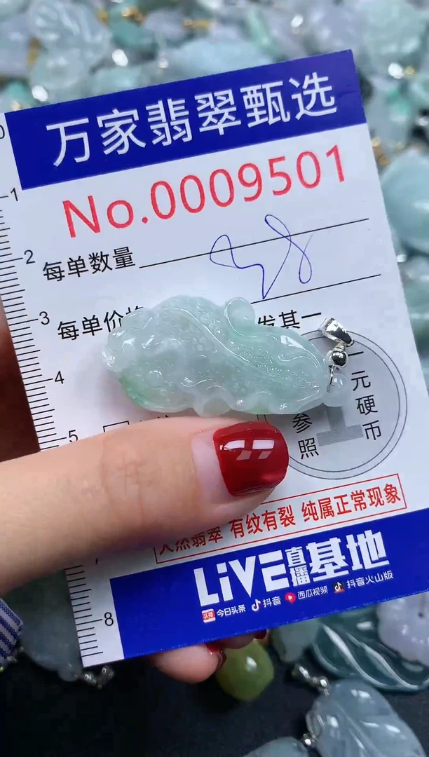 颈饰未镶嵌翡翠9501