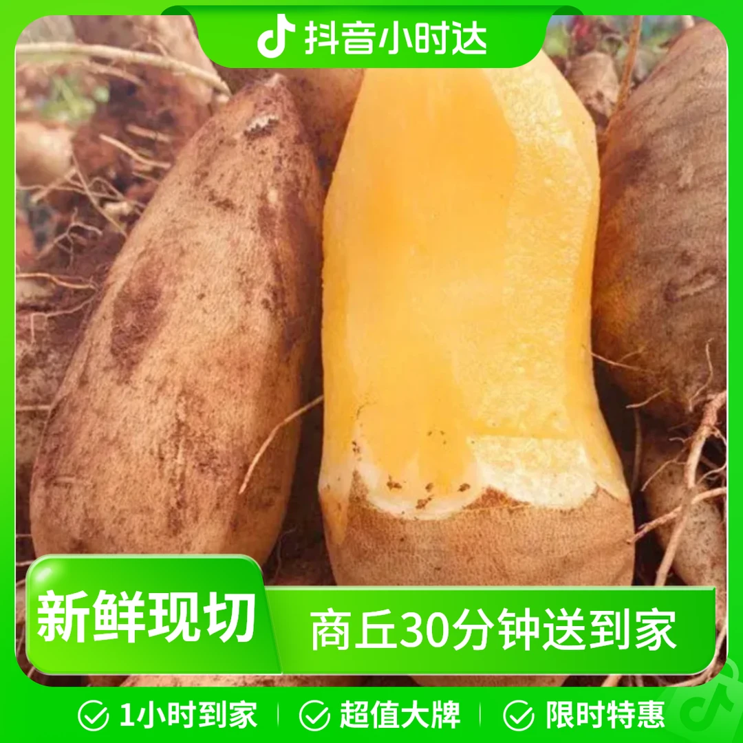 30分钟送到家【2斤装】雪莲果 新鲜长条