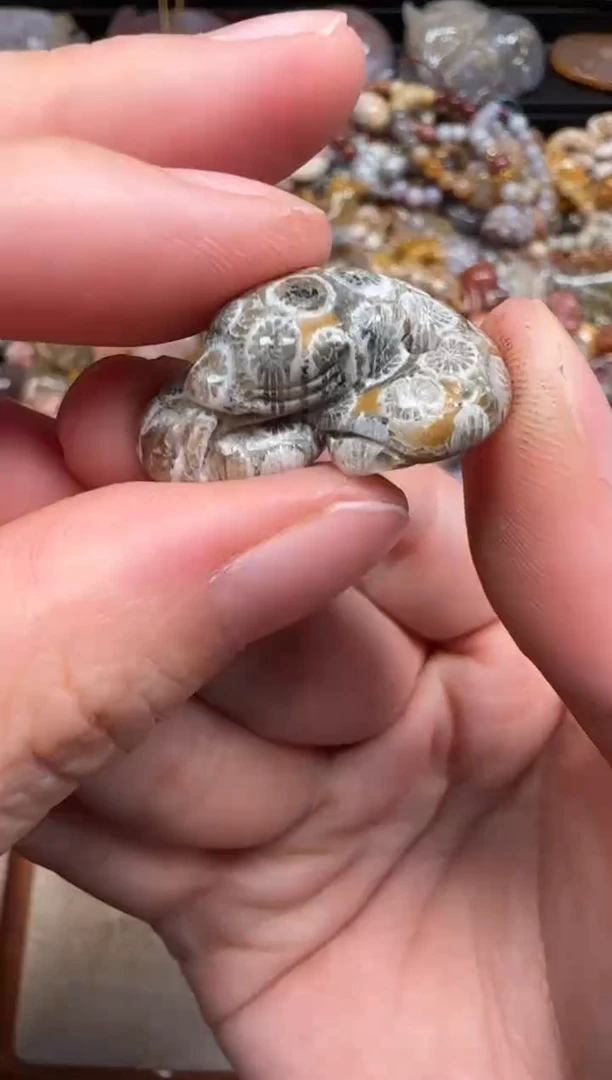 硅化珊瑚（珊瑚玉）未镶嵌颈饰244