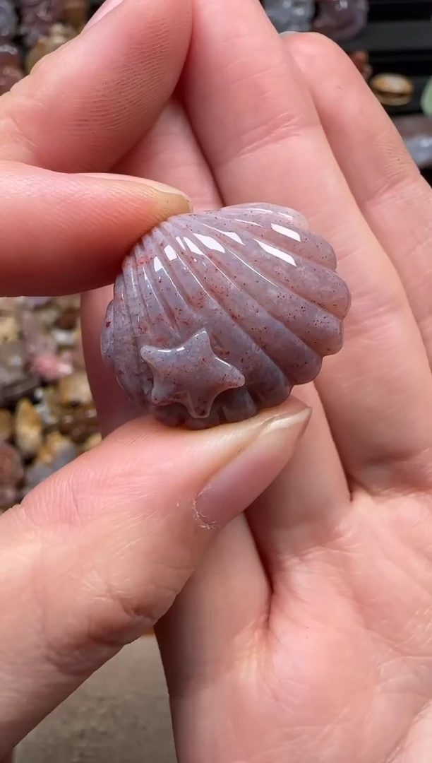 颈饰未镶嵌硅化珊瑚（珊瑚玉）704