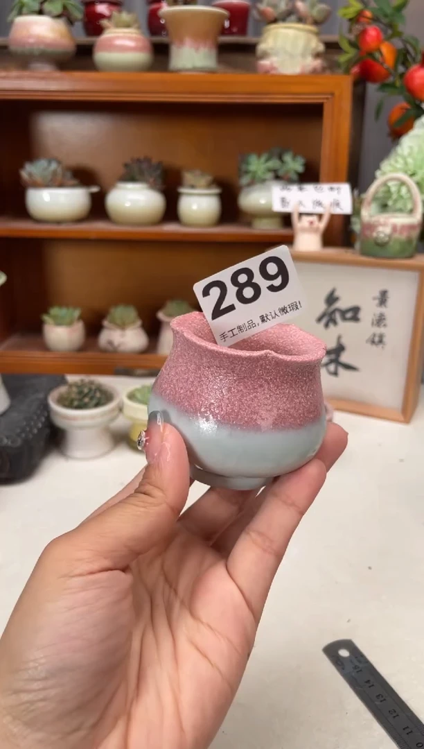 瓷片289知木小芳花盆编号