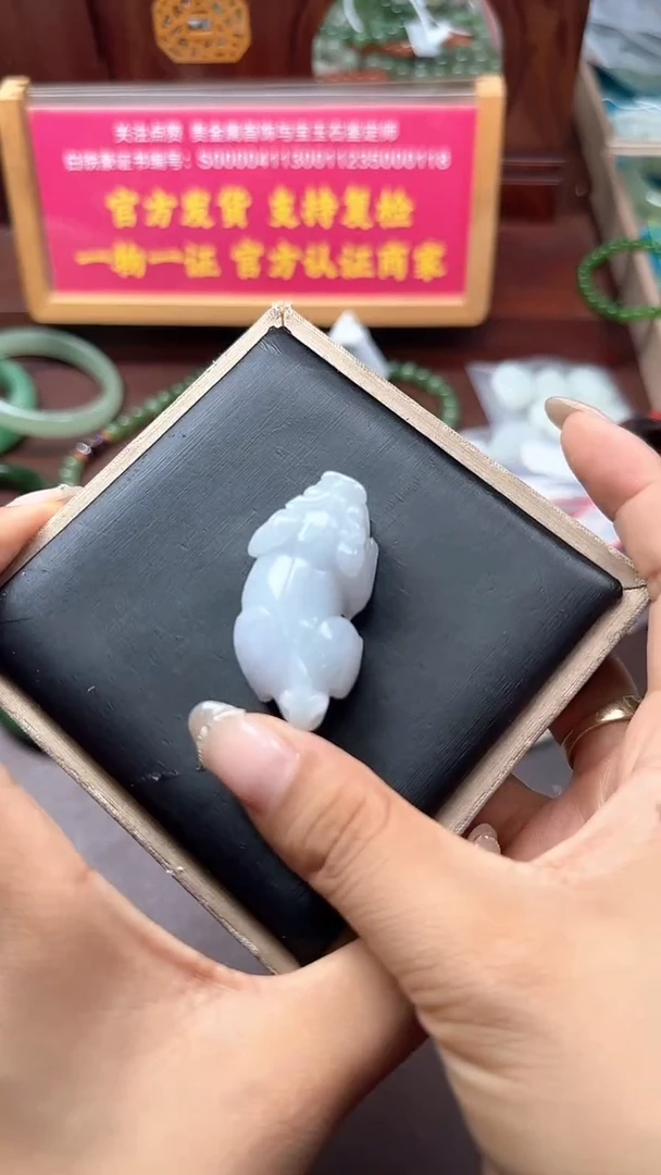 颈饰未镶嵌翡翠翡翠貔貅