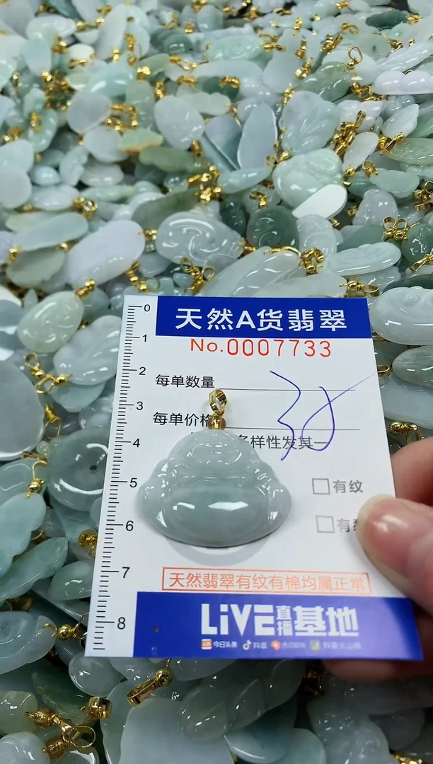 颈饰未镶嵌翡翠纯天然a货翡翠