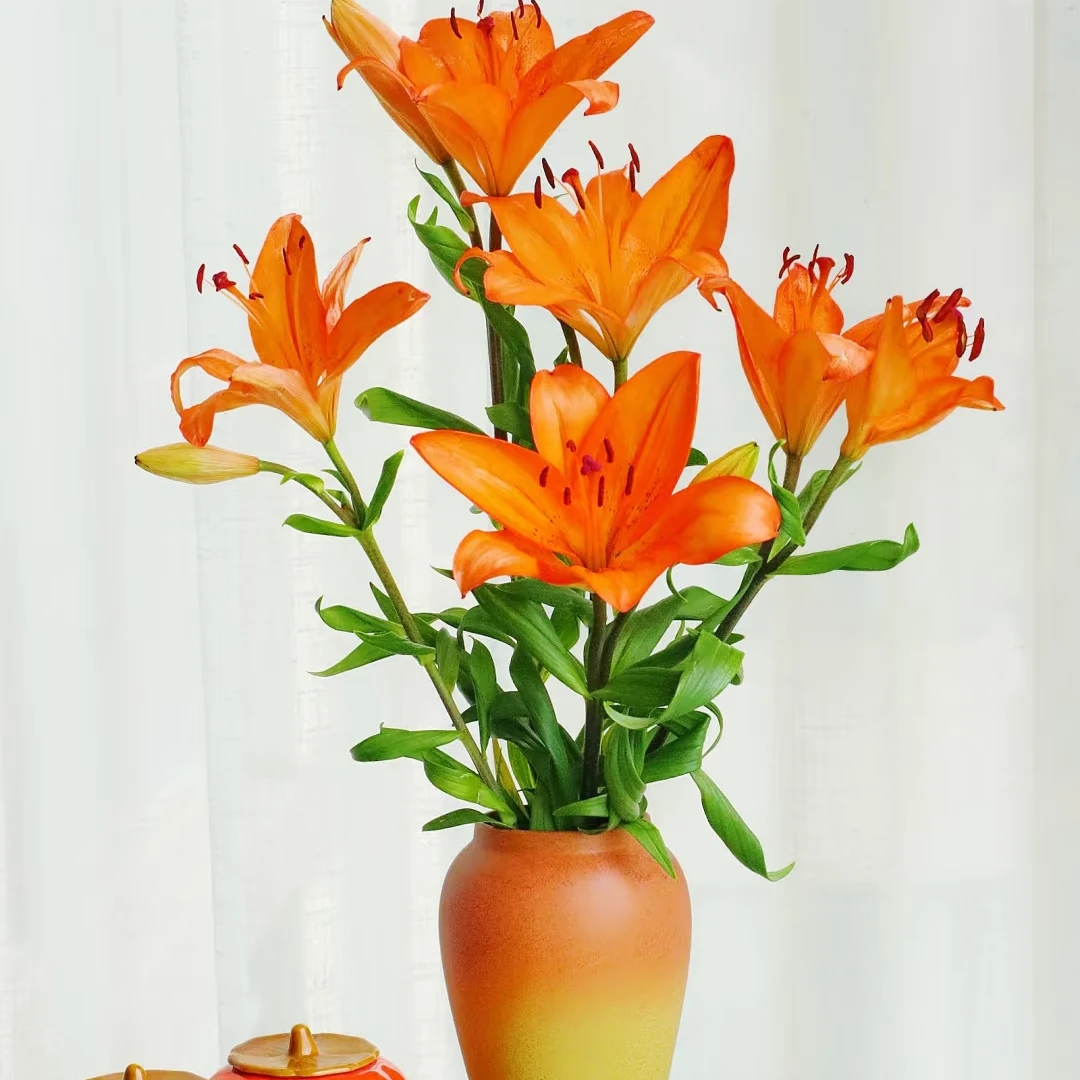 【橙色梦想】A级单瓣百合上色好包装大家庭鲜插花 顺丰直发