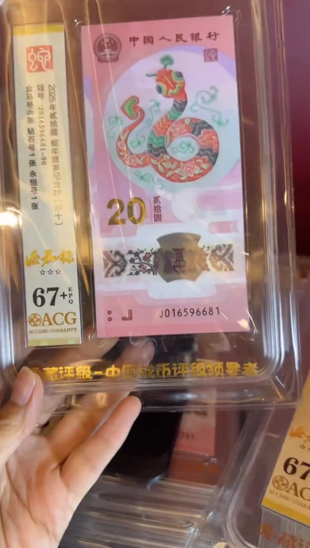塑料2024 蛇钞 爱藏标十   如图