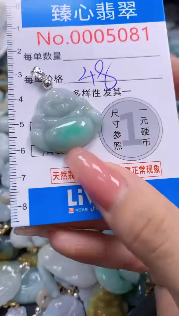 翡翠未镶嵌颈饰5081