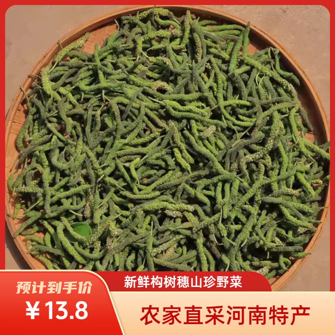 【构树穗】当季野生农家新鲜采摘春季限定纯天然绿色健康野生构树穗