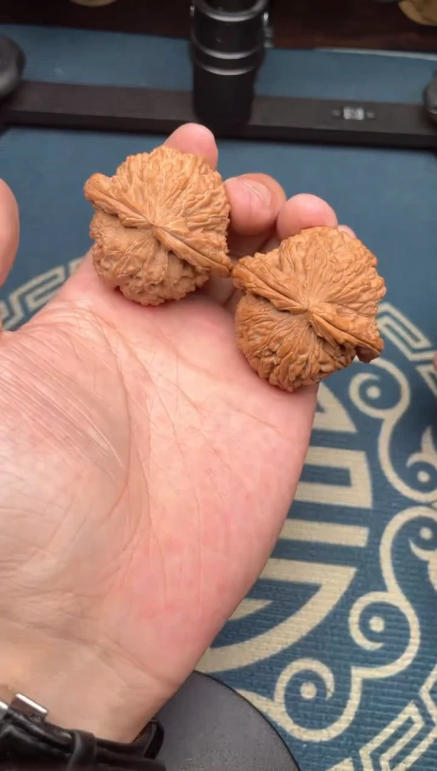 文玩核桃吊坠白狮子全品43+