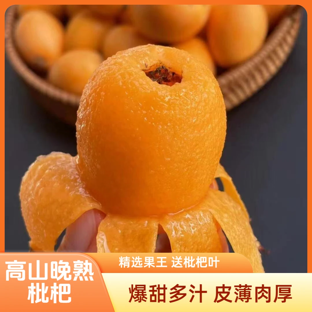 【果王】四川宝兴高山晚熟枇杷 套袋枇杷 特甜 皮薄肉厚 香甜多汁