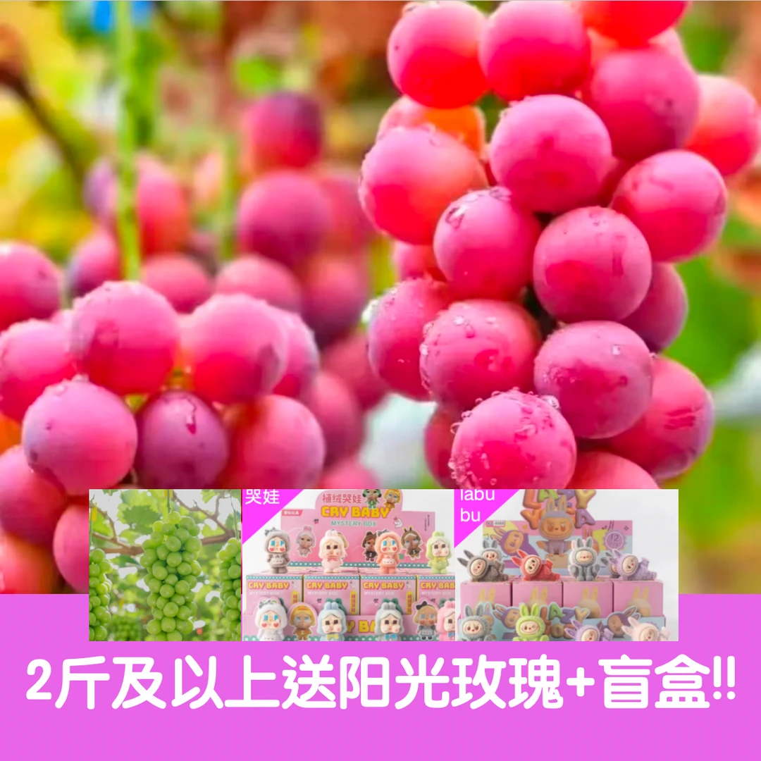【妮娜皇后送阳光玫瑰+盲盒】云南大理宾川妮娜皇后妮娜公主葡萄当季新鲜罗马红宝石晴王特级无籽葡萄云南省