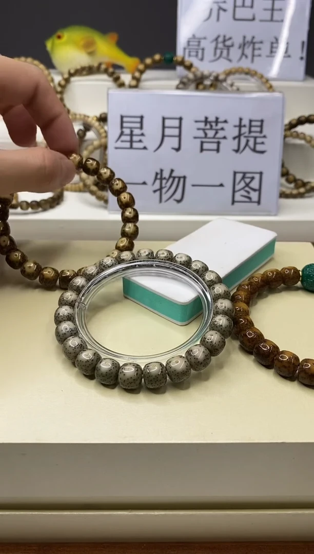 手串星月菩提一物一图-W17-189