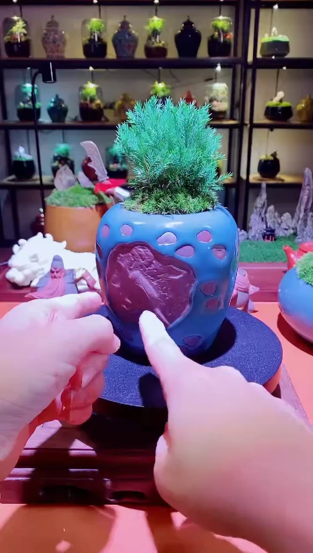 吉鑫福利精选福力
