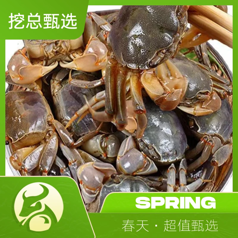 【挖总甄选】盐城特产醉蟹