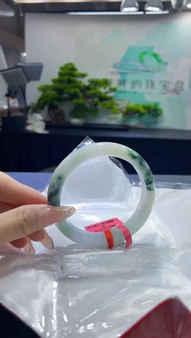 未镶嵌手镯翡翠9