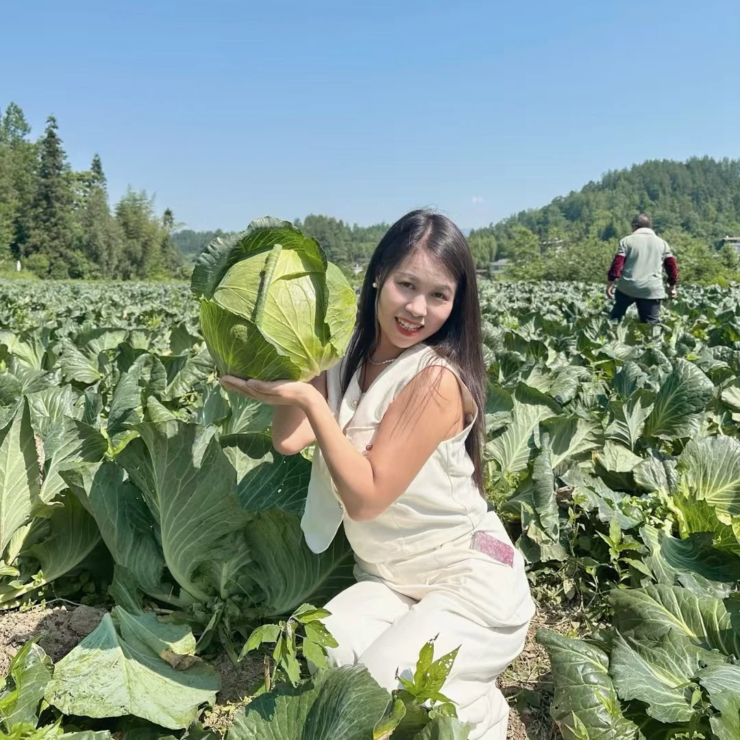（幺妹木木）助农恩施高山包包菜走出大山4-5斤