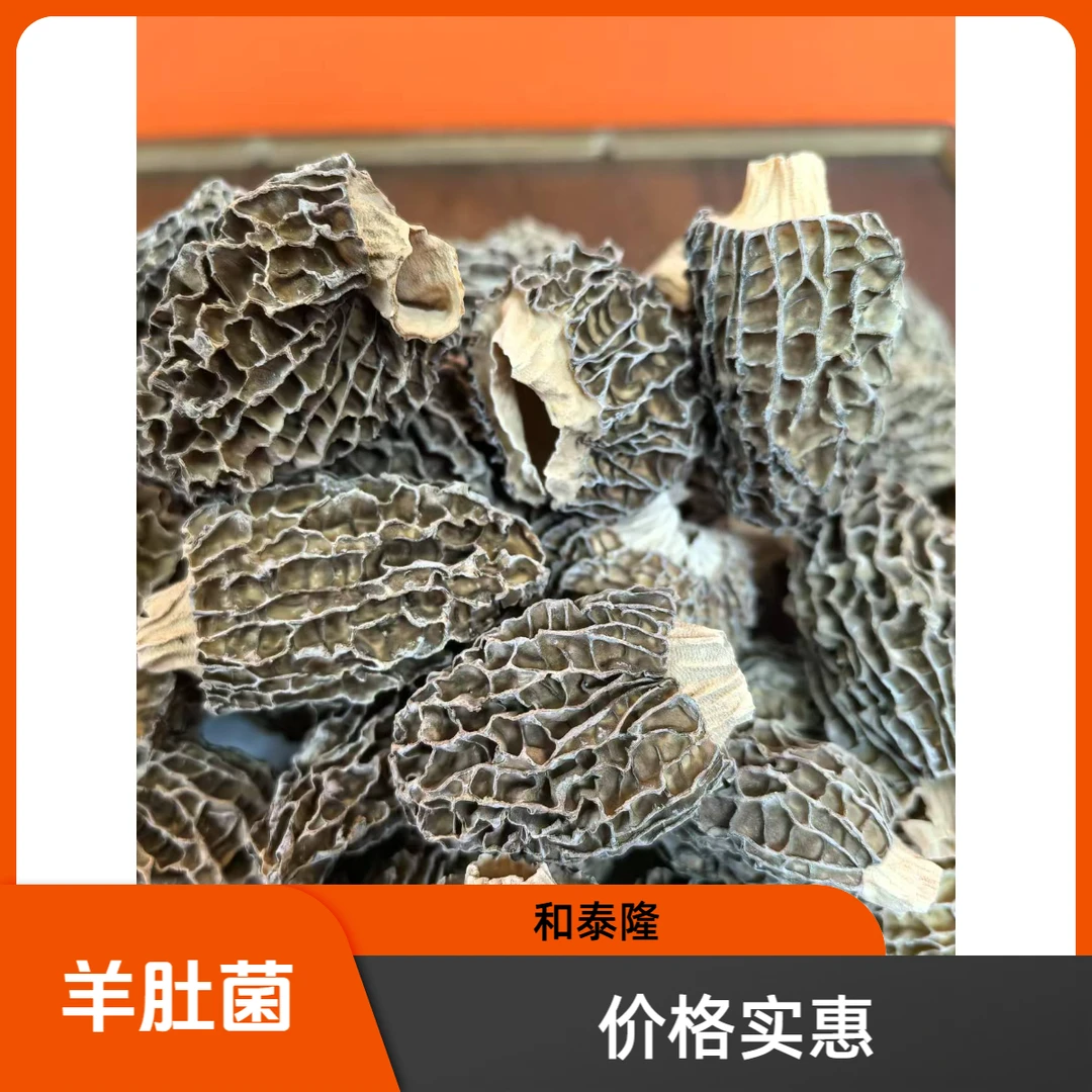 和泰隆 220头  羊肚菌 草莓型 厚肉 味香  枸杞汤料  1~500克