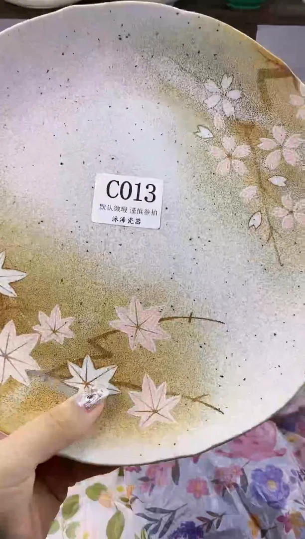 瓷片g**dC      013