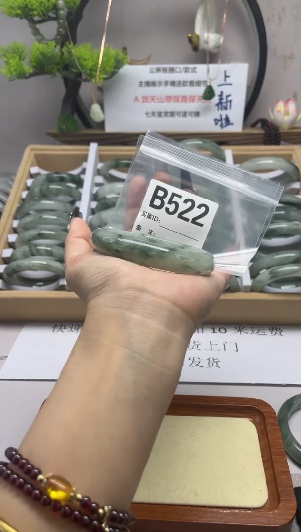 【闪购商品】石英质玉（天山翠）手镯未镶嵌b522