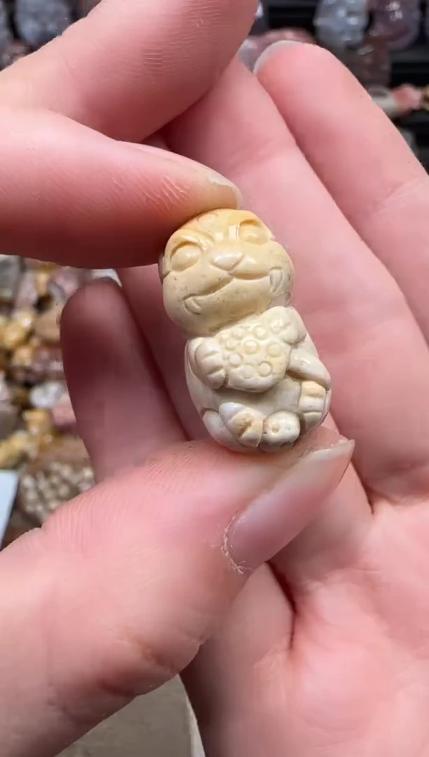 颈饰未镶嵌硅化珊瑚（珊瑚玉）559