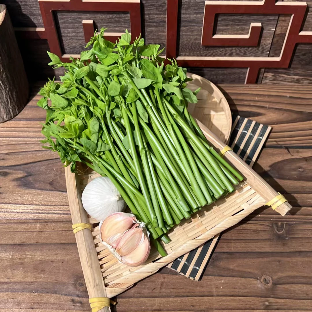 新鲜树仔菜潮汕本地菜农现摘现发绿色健康广东省内冷链包邮