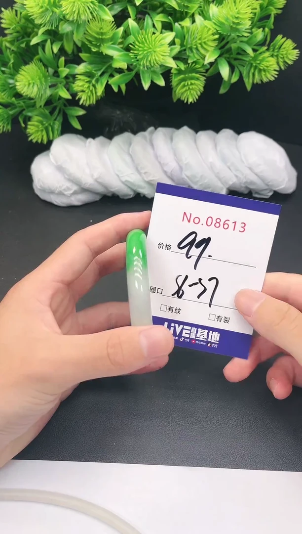 未镶嵌手镯翡翠8613
