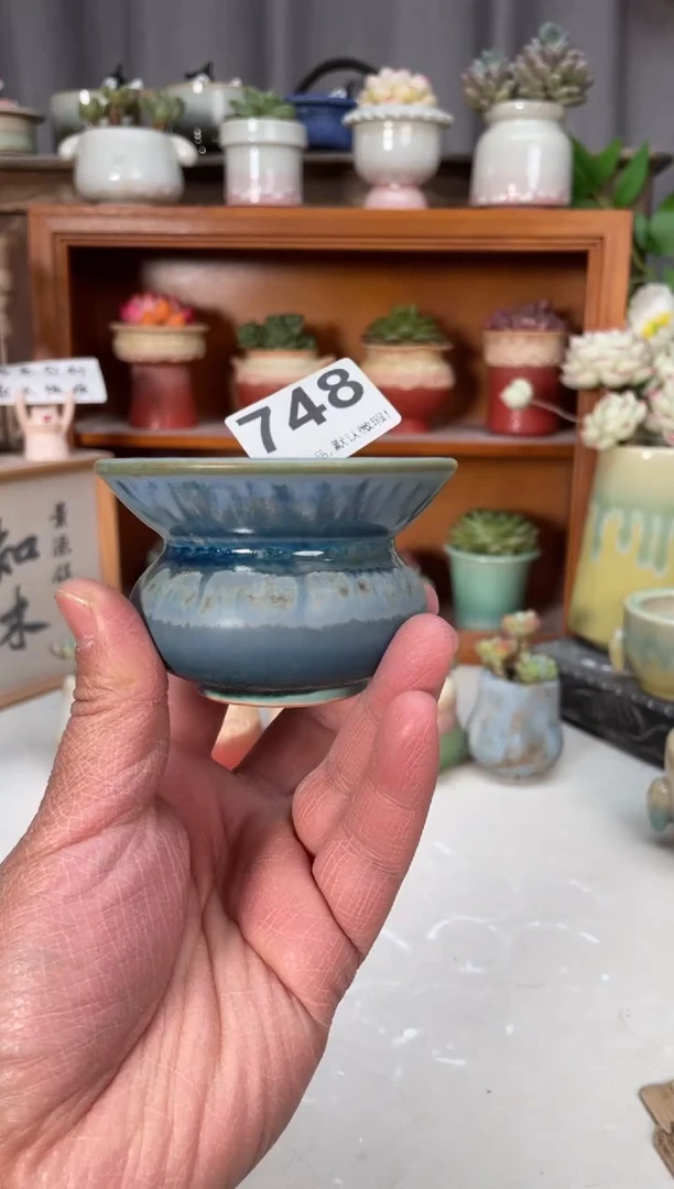 瓷片748小芳直播编号