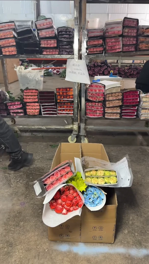 惊艳泡泡10+上官婉儿10+香水宝塔10+碎冰蓝桔梗+墨西哥菊叶