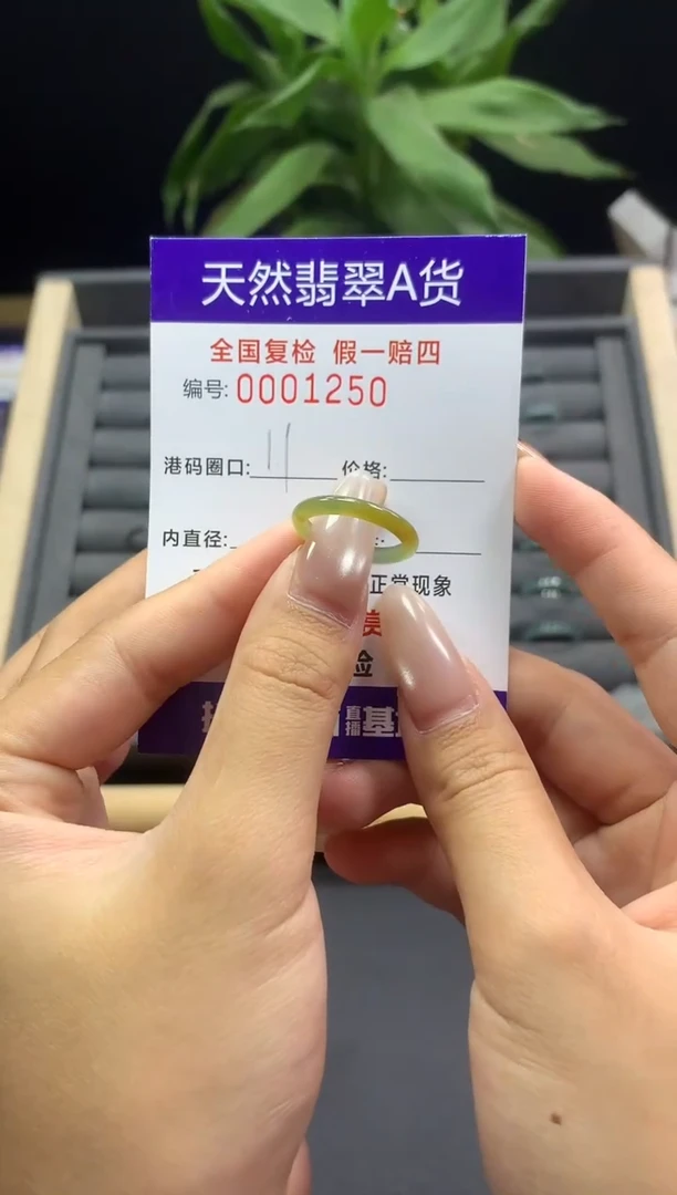 未镶嵌戒指翡翠天然  1250