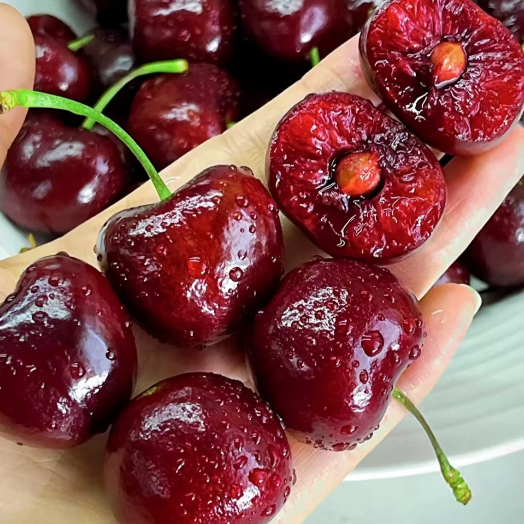 XM果王车厘子3J4J原箱5斤海运顺丰到家 内附果径卡