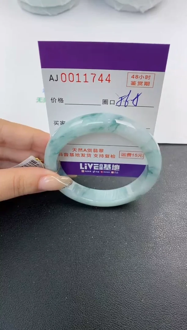 未镶嵌手镯翡翠天然A货翡翠