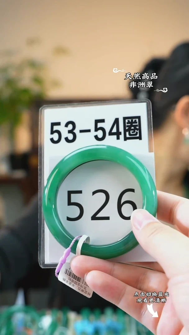 未镶嵌手镯石英质玉（非洲翠）5354