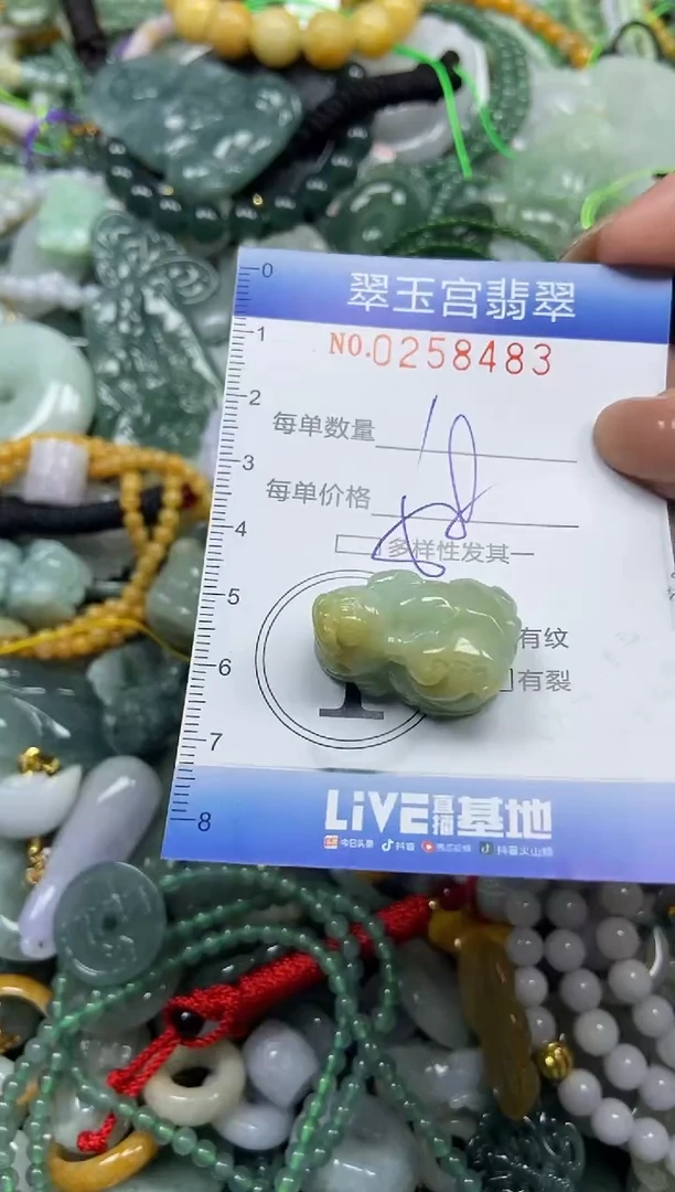 颈饰未镶嵌翡翠闪购C0258483