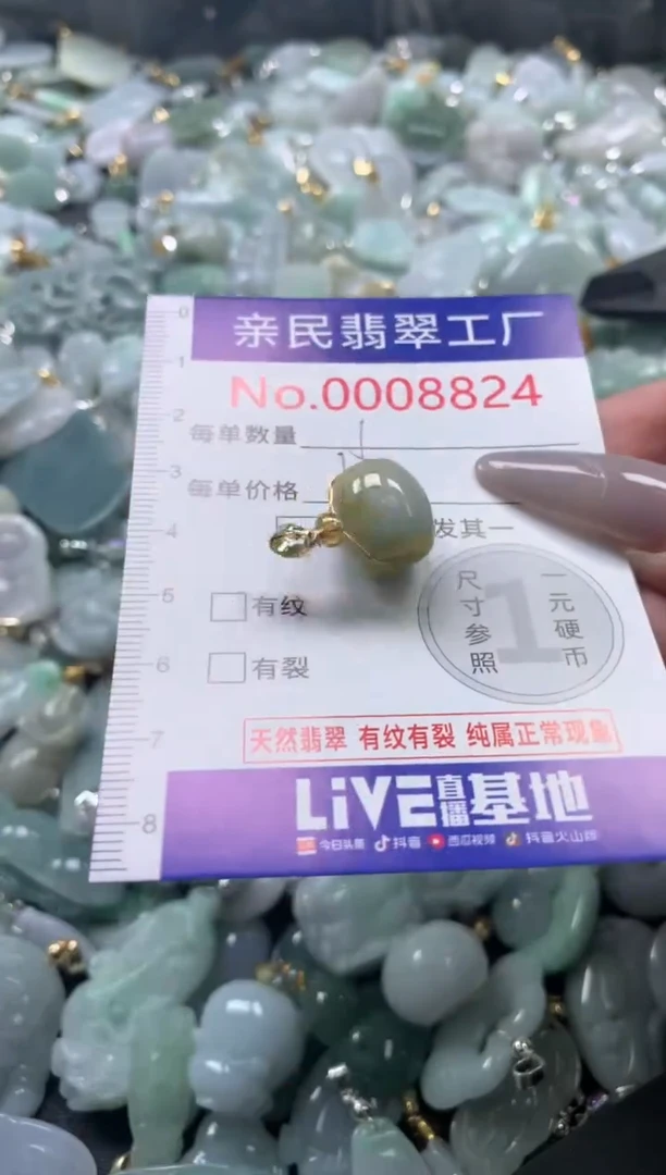 颈饰未镶嵌翡翠8824