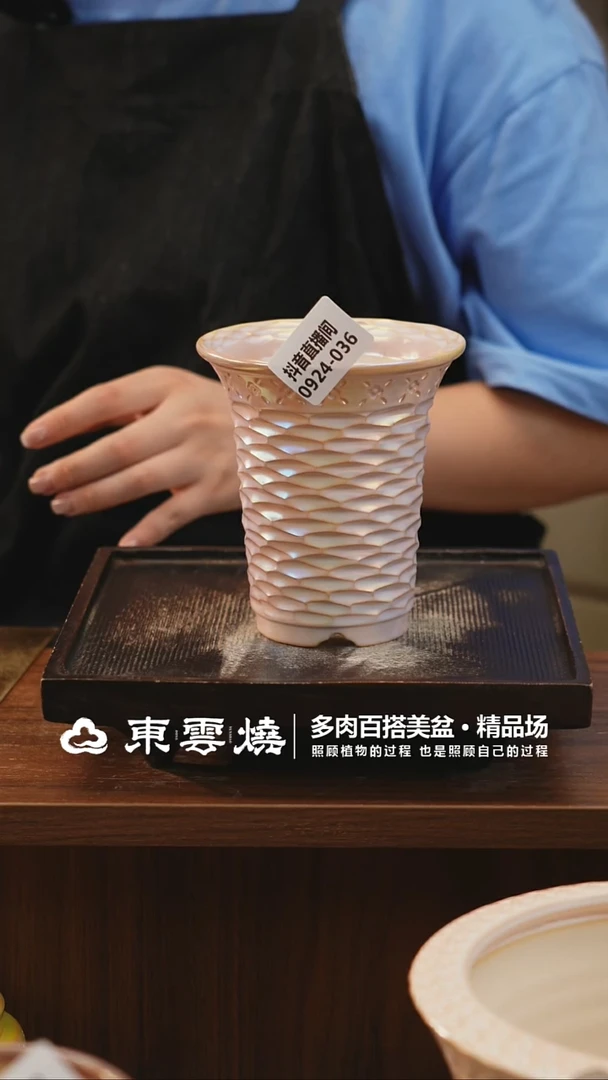 0924-036C万象内口7