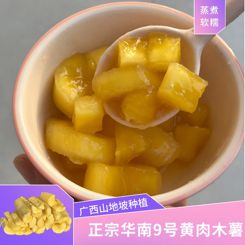 广西新鲜现挖黄心黄肉木薯粉糯香甜可做广西木薯糖水