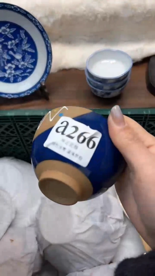 【闪购商品】瓷片          a266